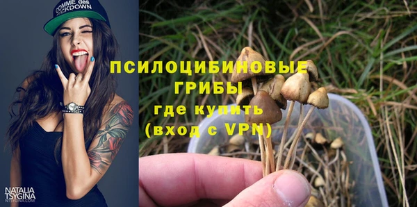 мдпв Краснотурьинск
