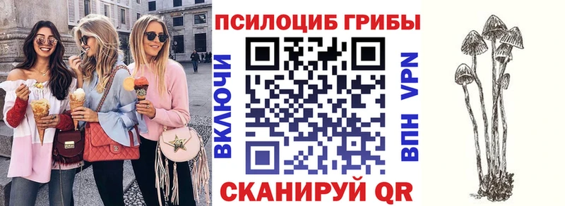 Галлюциногенные грибы MAGIC MUSHROOMS  закладка  Пущино 